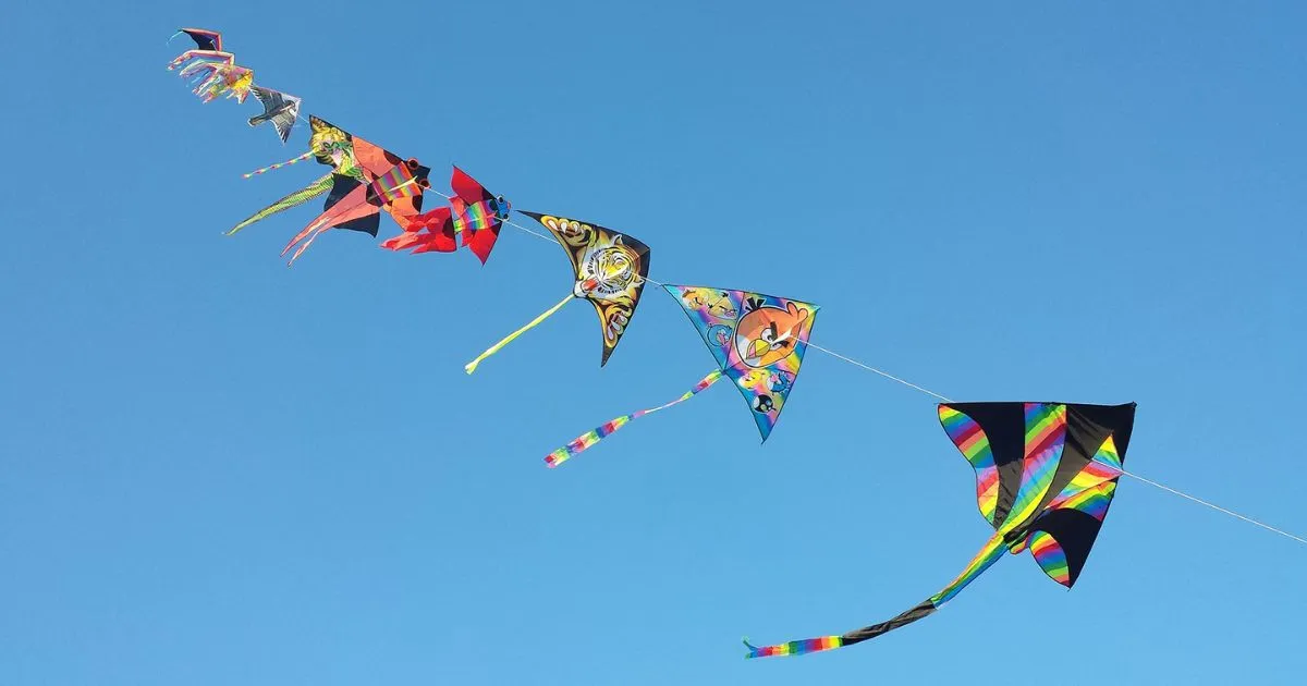 Makar Sankranti